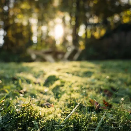 Szuerke Szarvas Szuha