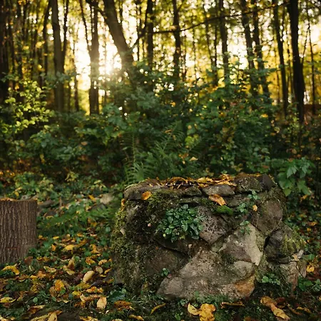 Szuerke Szarvas 木屋 Szuha